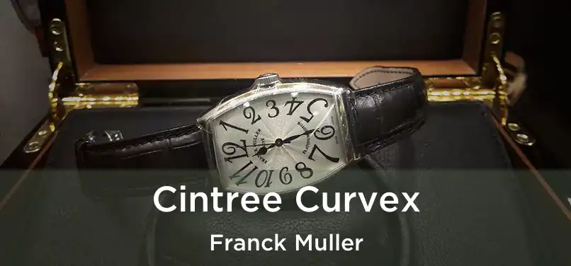  Cintree Curvex Franck Muller